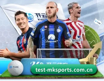 mk体育 APP 深度功能